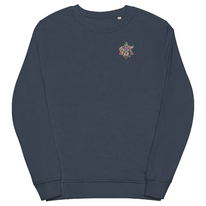 French Navy